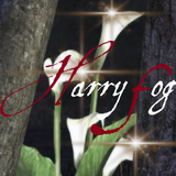 Harry Fog ikon