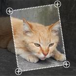 Resize and Transform Image