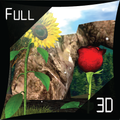 Sunflower Rose Livewallpaper