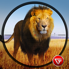Wild Lion Hunting Shooting Simulator-2017 icon