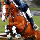 Cavalo Simulator APK