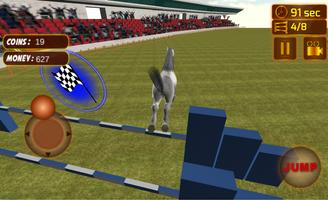 Horse Simulator Affiche