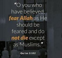 Best Life Muslim Quotes Cartaz