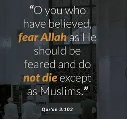 Best Life Muslim Quotes APK download
