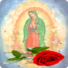 Videos de la Rosa de guadalupe icono