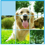 Jigsaw Puzzle - Numpuz