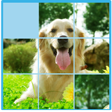 Jigsaw Puzzle - Numpuz APK