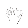 ”BingoCar