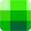 Shades Puzzle