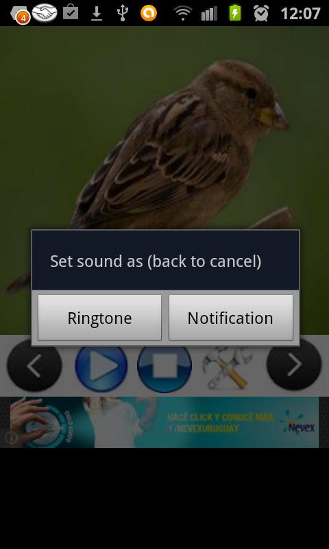 Как сделать звук птицы. Приложение для охотников на айфон звуки птиц. Игра звуки телефон птицы. Рингтоны птицы APJ.
