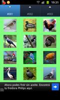 Bird Wallpapers Affiche