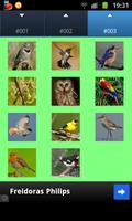 Bird Wallpapers اسکرین شاٹ 2