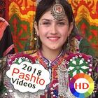 Pashto New Songs icon