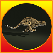 Cheetah runner go Zeichen