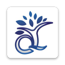 Q3 Financials APK