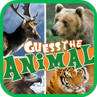 Guess the Animal 2015 icon