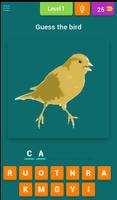 Bird Game poster