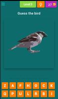 برنامه‌نما Bird Game عکس از صفحه
