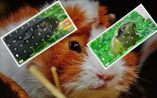 Guinea Pig Keyboard स्क्रीनशॉट 1