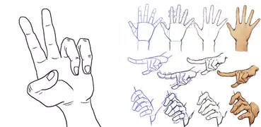 Aprender a dibujar la mano