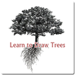 Learn to Draw Tree