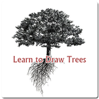 Learn to Draw Tree icône