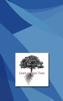 Learn to Draw Tree Affiche