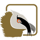 Guia de Ubeda APK