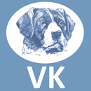 APK Guide for new vk music