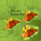 Attract Butterflies icône