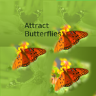 Attract Butterflies 图标