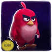 Guide for Angry Birds