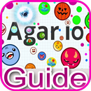 Guide: Agario cheats and Skins APK
