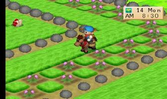 New Guide Harvest Moon Back To Nature screenshot 1
