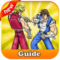 Guide Double Dragon