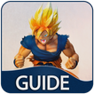 guide to dragon ball xenoverse