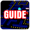 Guide for Pac Man 256
