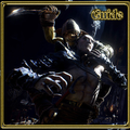 Guide For Shards of Darkness