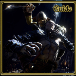 Guide For Shards of Darkness