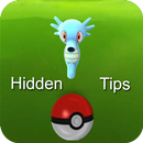 Hidden Tips for Pokemon Go APK