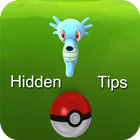 Hidden Tips for Pokemon Go Zeichen