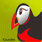 Guide Puffin Pro Advice icône