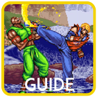 Guide for Double Dragon icône