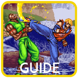 Guide for Double Dragon иконка