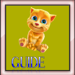Best Guide For my Talking Ginger