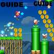 Guide For Mario Run