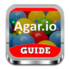 Guide For Agar.io आइकन