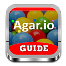Guide For Agar.io APK
