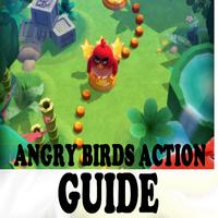Guides for Angry birds action постер