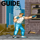 Guide for Final Fight icon